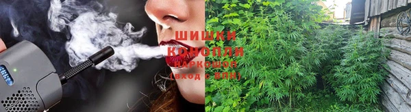 ECSTASY Алзамай