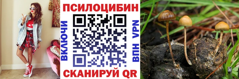 где купить наркоту  OMG зеркало  Псилоцибиновые грибы Cubensis  Черемхово 